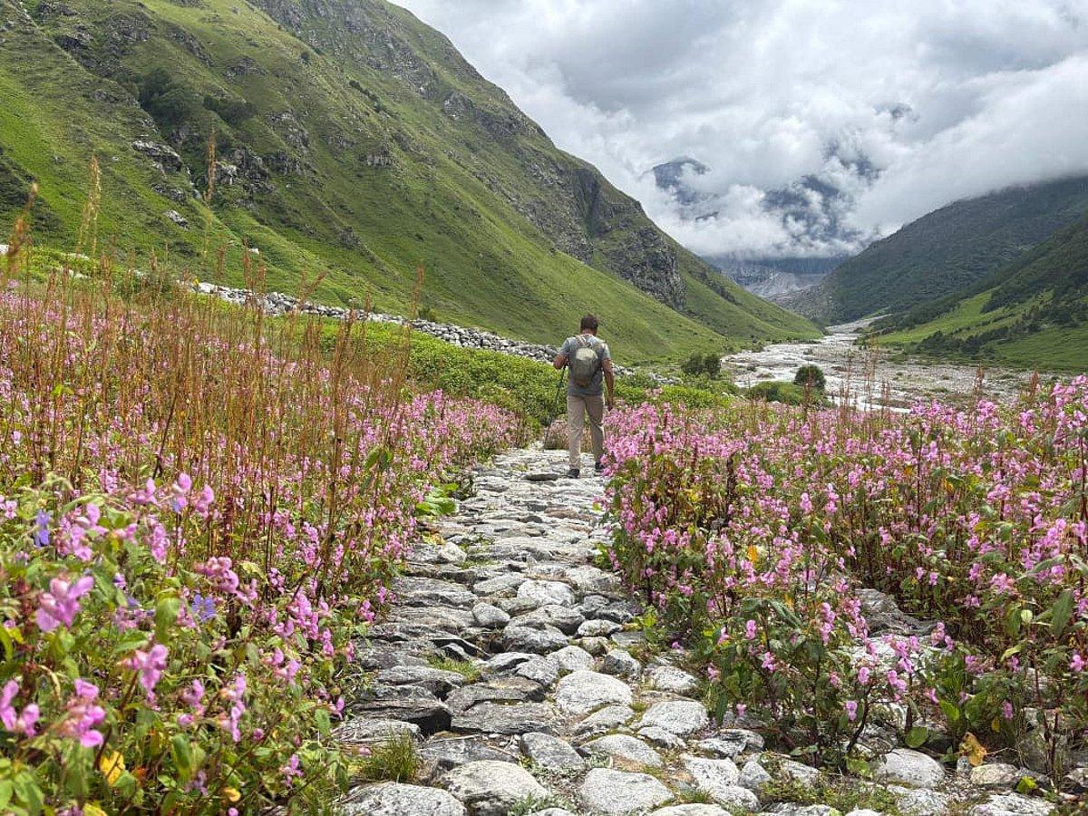 Valley of Flowers & Hemkund Sahib Trip – Complete Travel Guide
